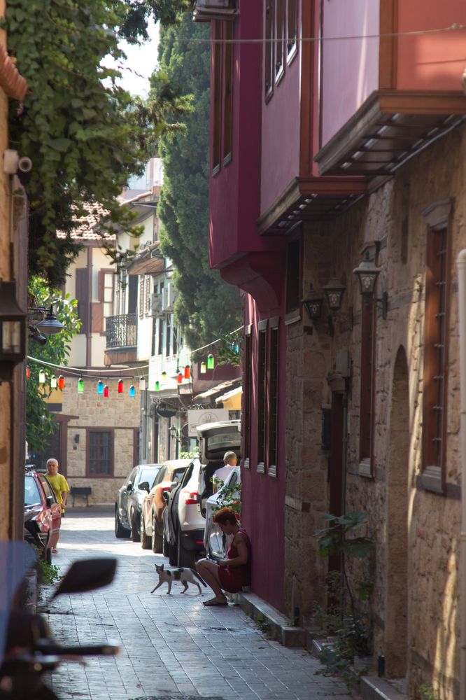 Photograph by Olga Min