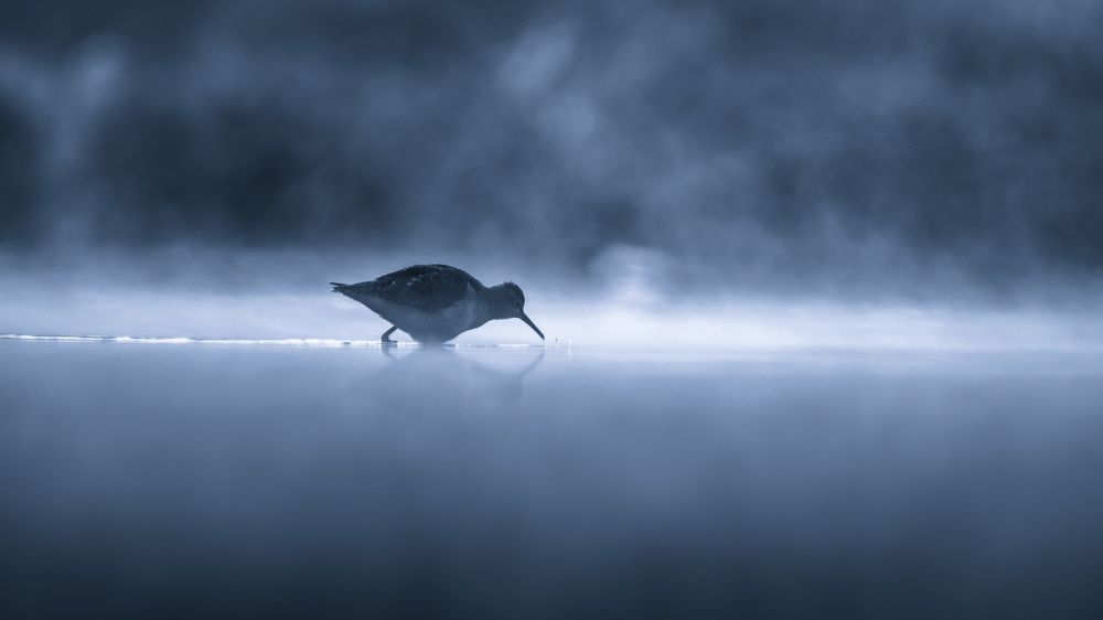 Photograph by Vinay Badhe