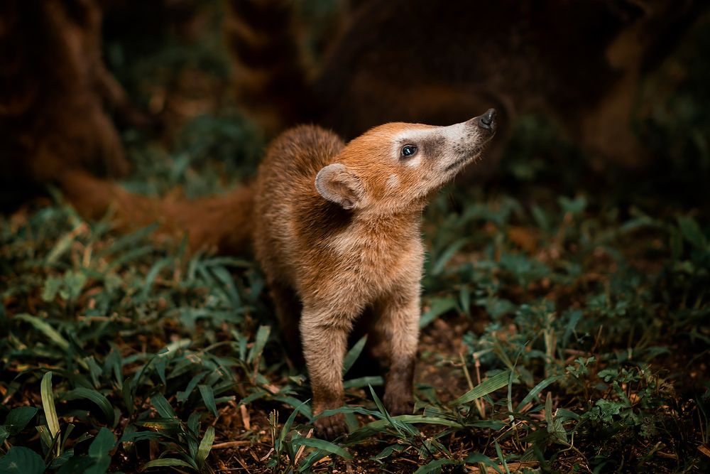 Фотография автора Iris Karina