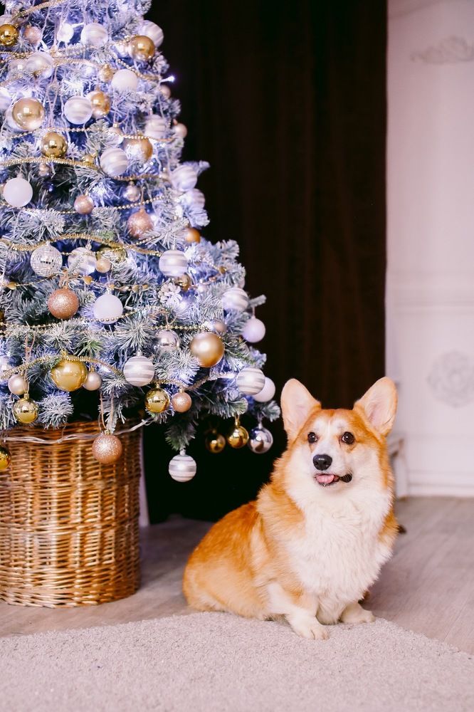 Photograph by Алексей Малеев