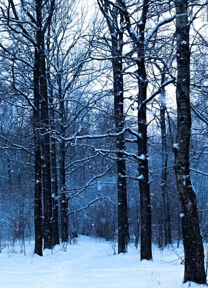 Photo #8509030