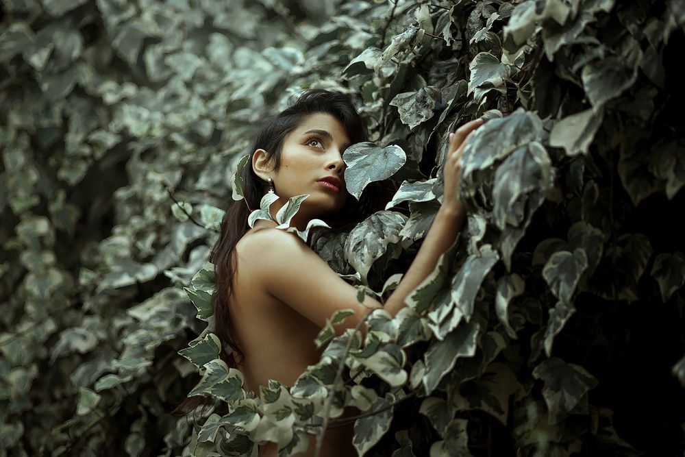 Фотография автора Iris Karina