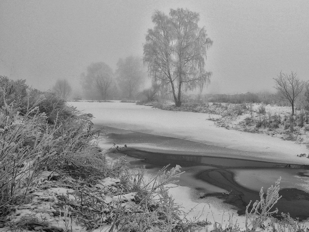 Photograph by Моложников Юрий