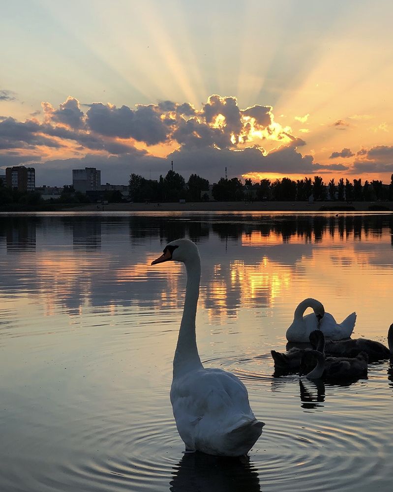 Photograph by Halina Mitsevich