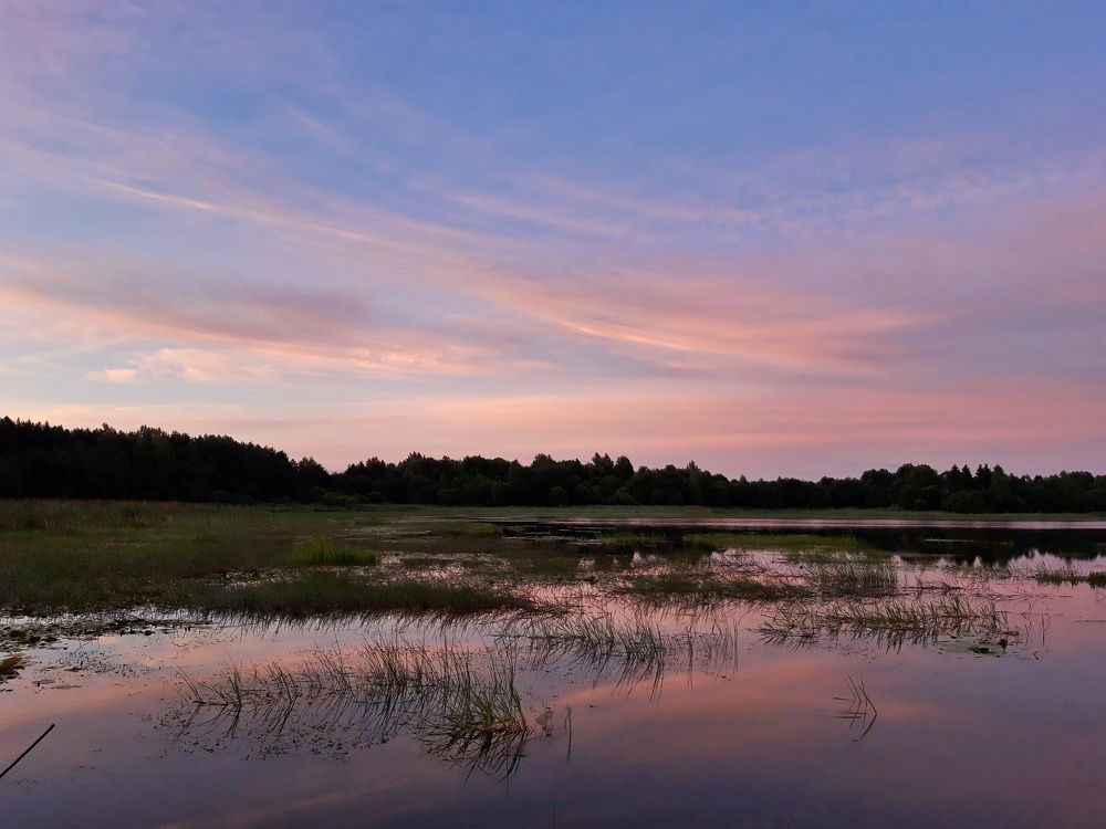 Photograph by Анжелика Медведева