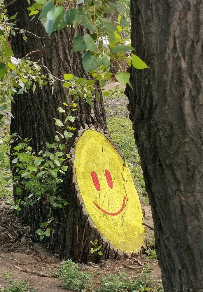 Photograph by Ирина Аверьянова