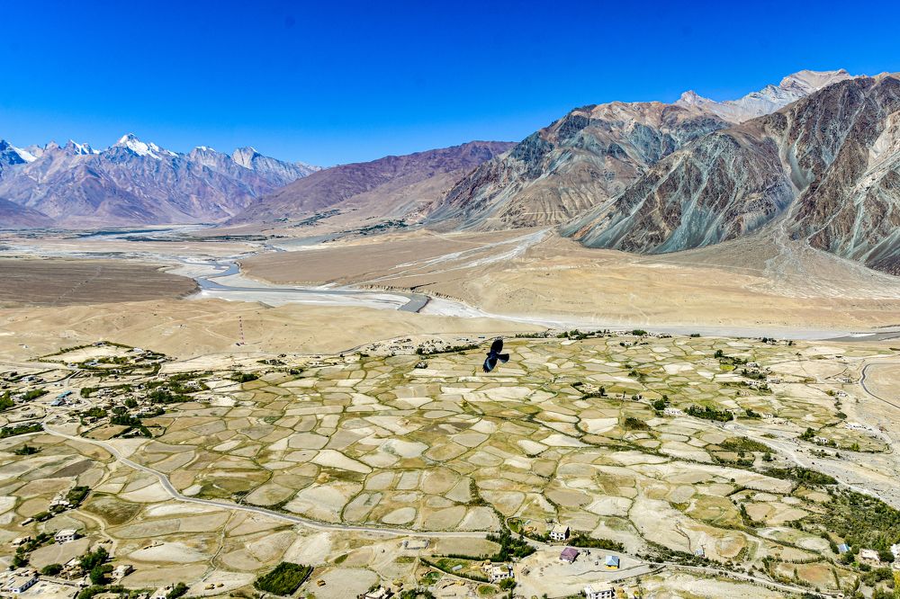 Photograph by Long Nguyen