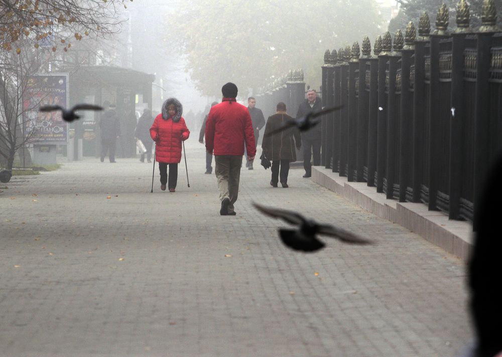 Photograph by Евгения Емельянова