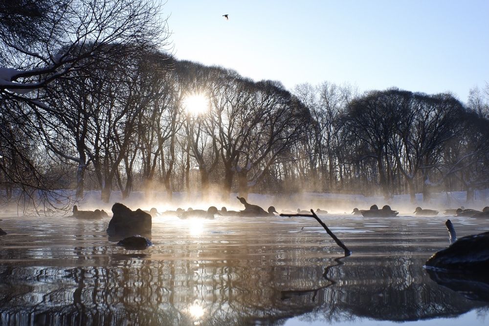 Photograph by Илья Михайлов