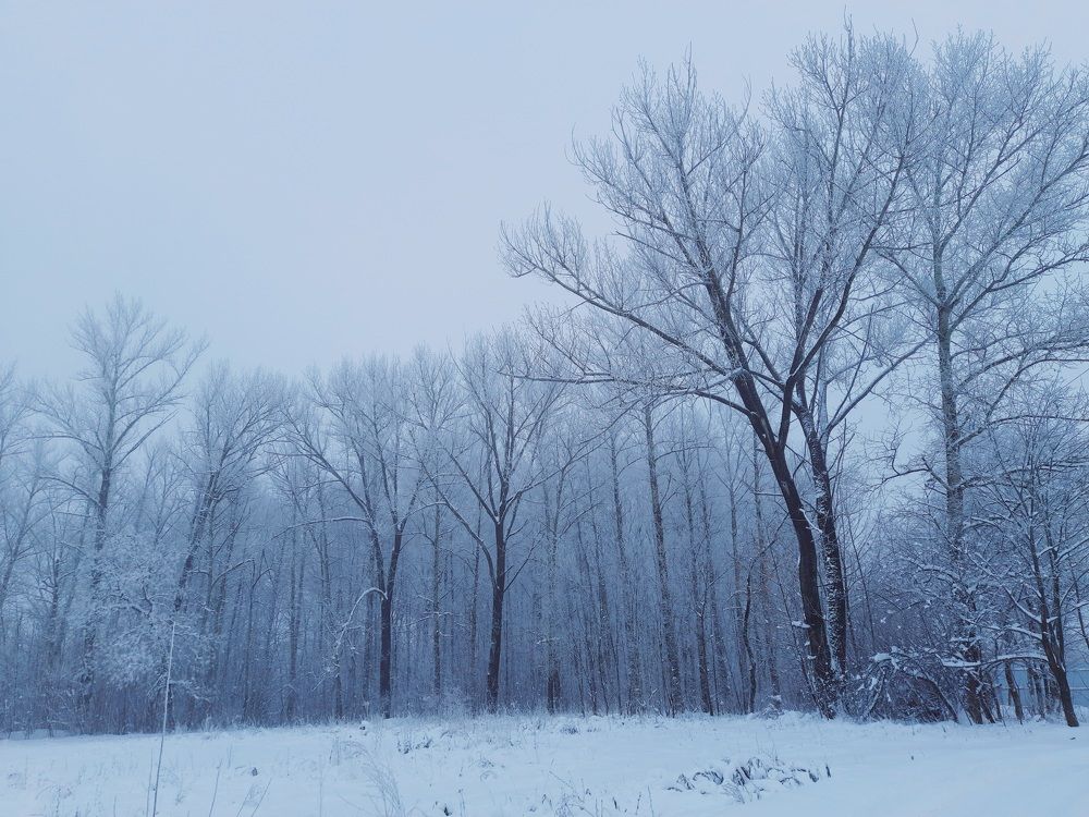 Photograph by Анжелика Гарина