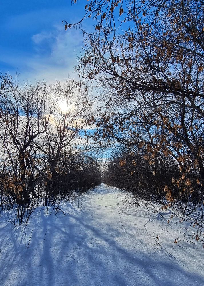 Photograph by Татьяна Галаева