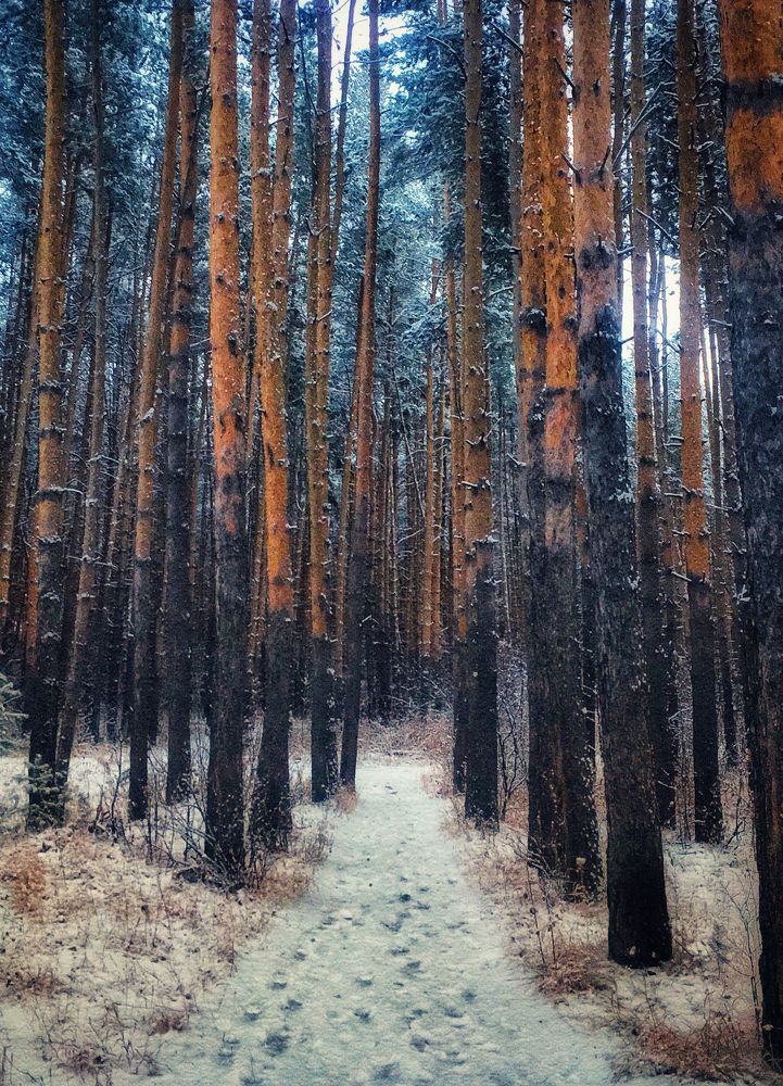 Photograph by Татьяна Галаева