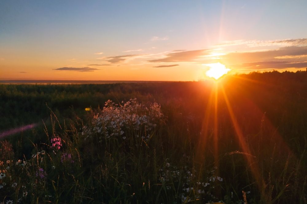 Photograph by Евгения Белоцветова
