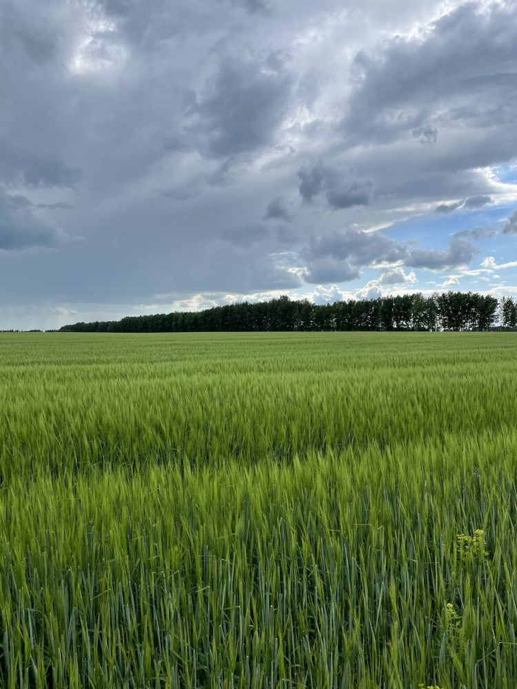 Photograph by Юлия Давшан