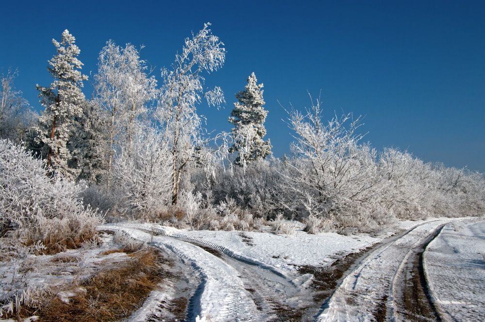 Photograph by Анатолий Святой