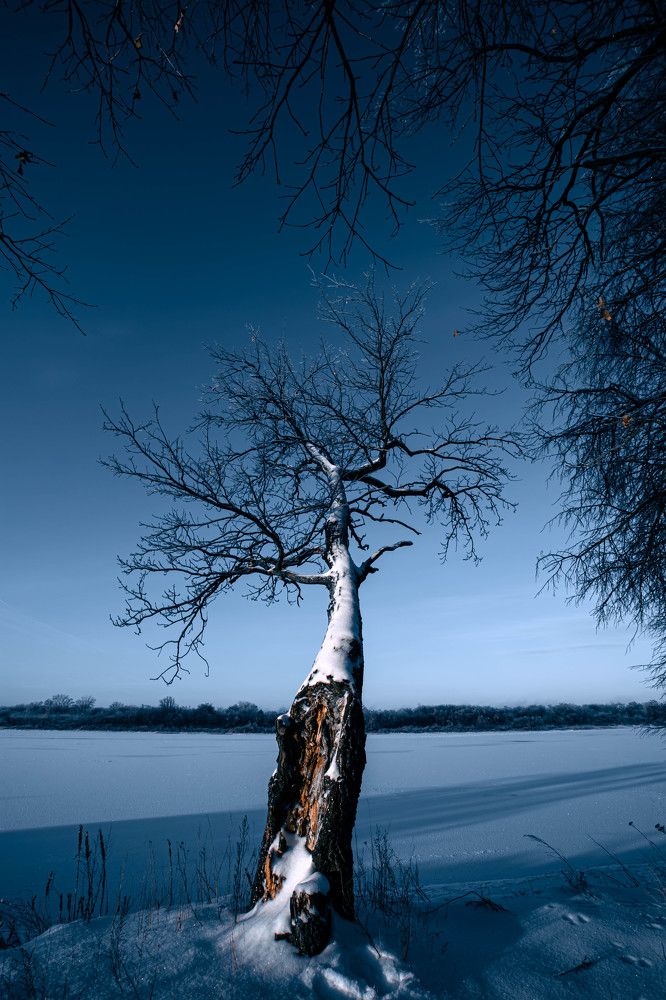 Photograph by Сергей Кочетов