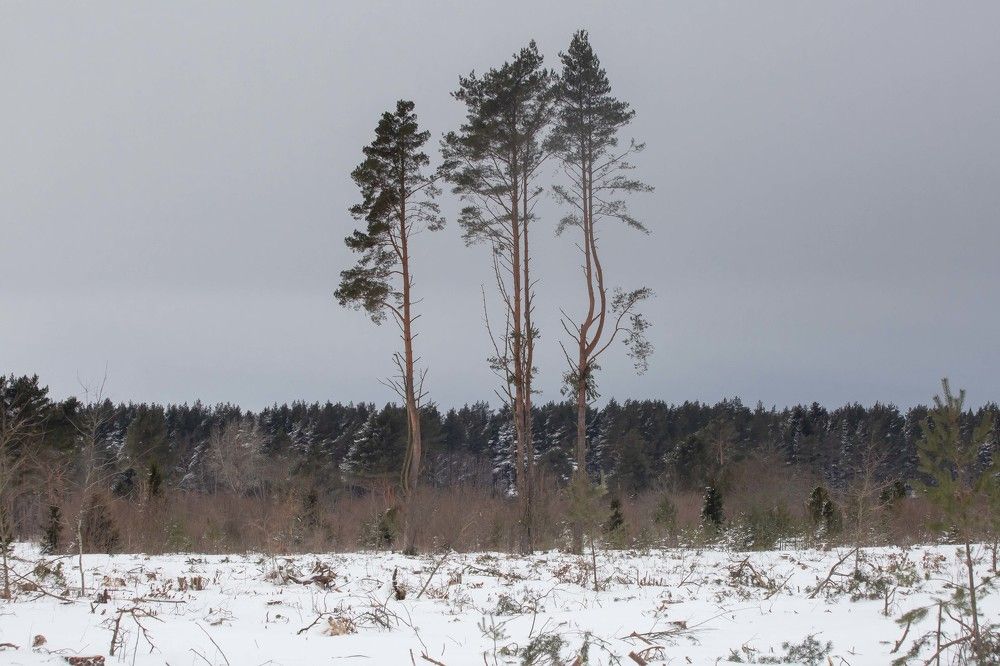 Photograph by Наталья Катюжанская