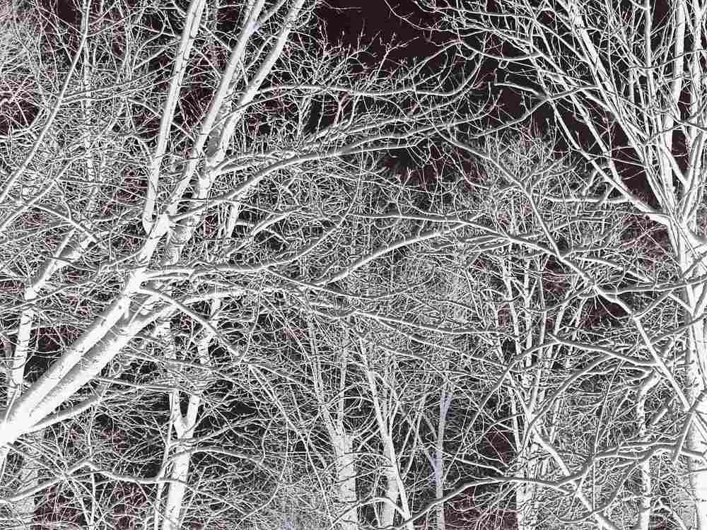 Photograph by Марина Стротова