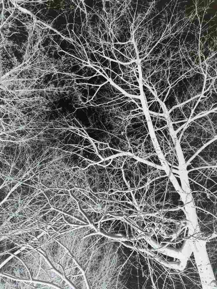 Photograph by Марина Стротова