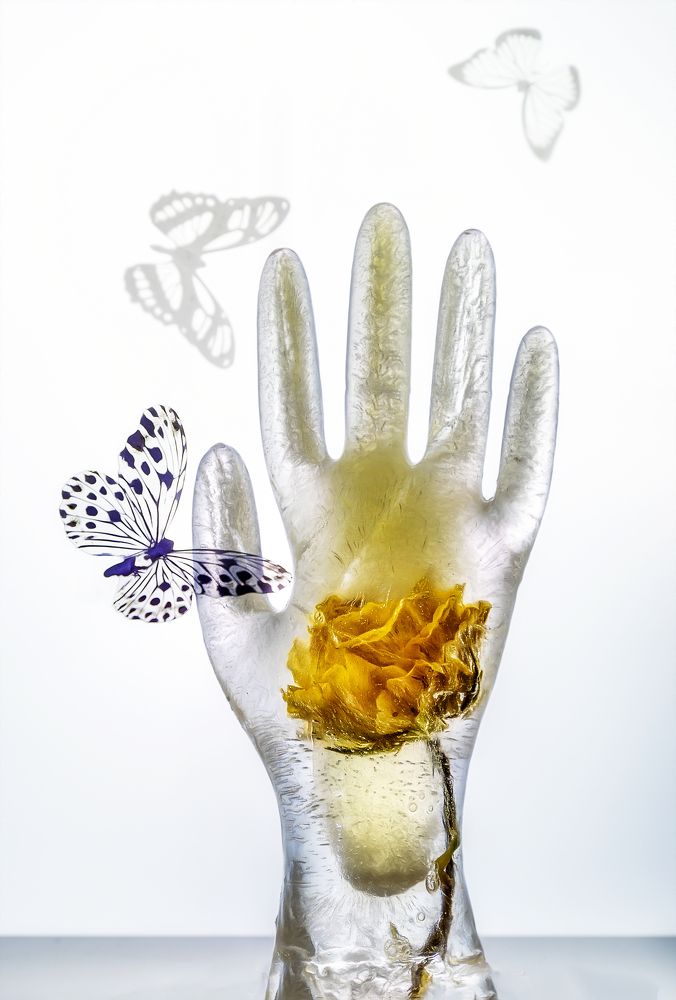 Photograph by Margarita