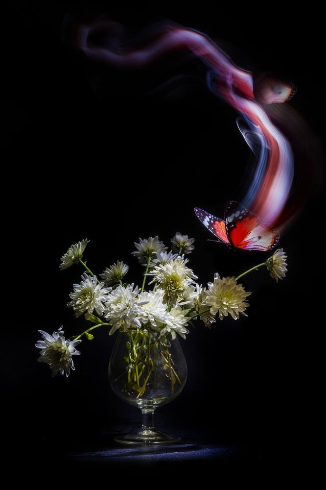 Photograph by Margarita