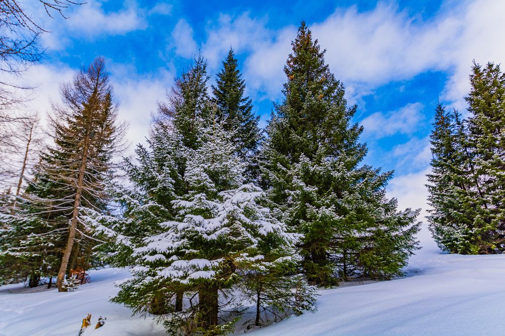 Photograph by Артём Александрович