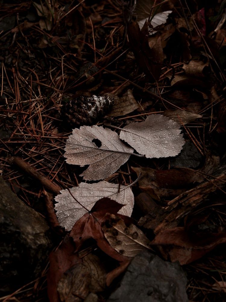 Photograph by Пузан Александр