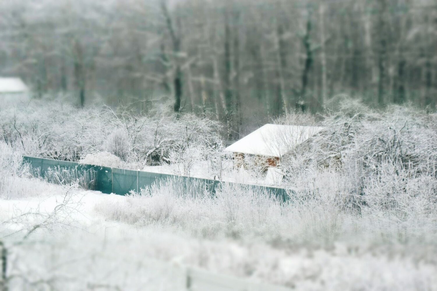 Photo #8509433