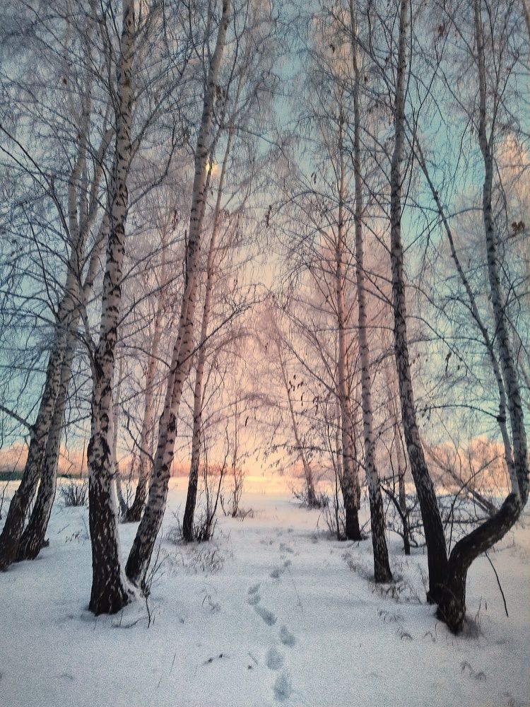 Photograph by Валентина Супчинская