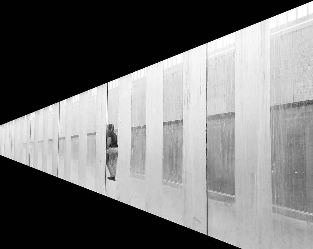 Photograph by Neda Kazemifard