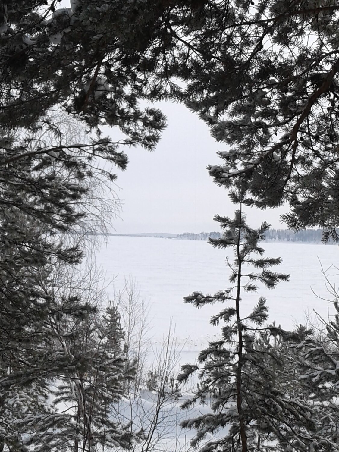 Photo #8509462