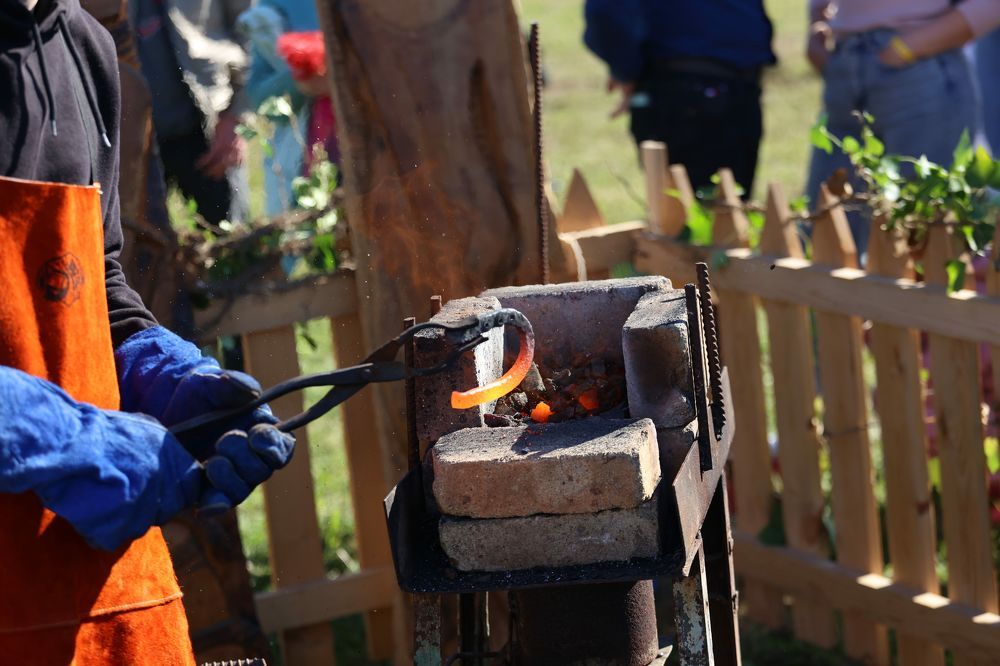 Фотография автора Fallen Angel