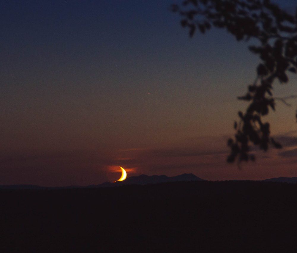 Photograph by Александр Салякаев