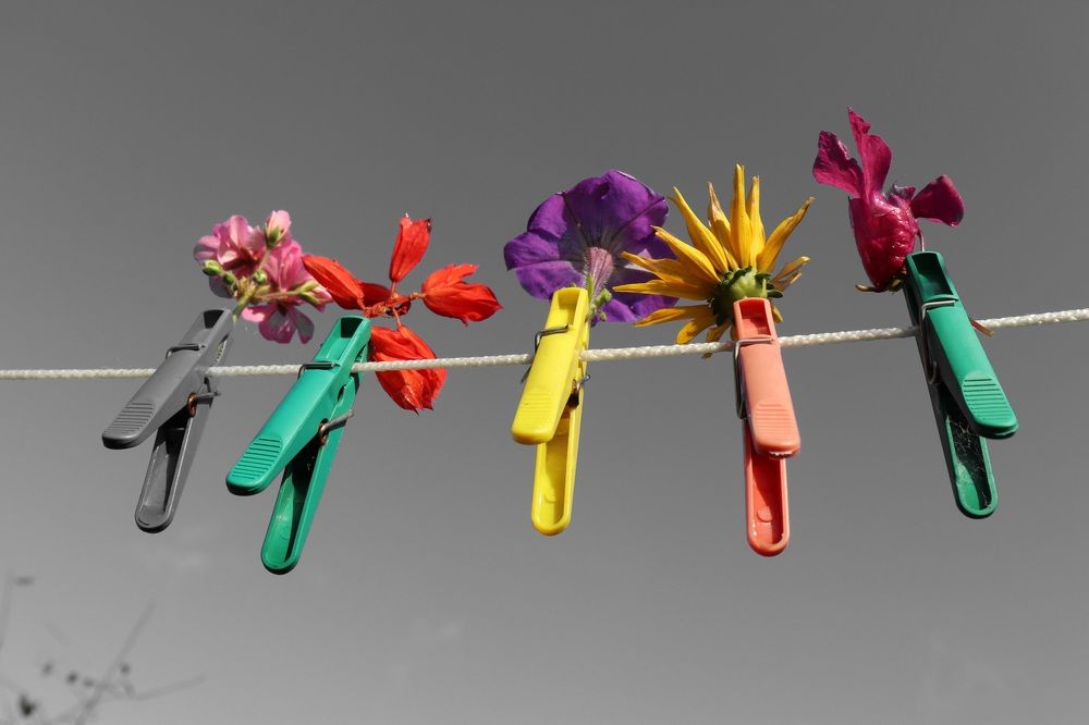 Photograph by Алексейчик Дмитрий