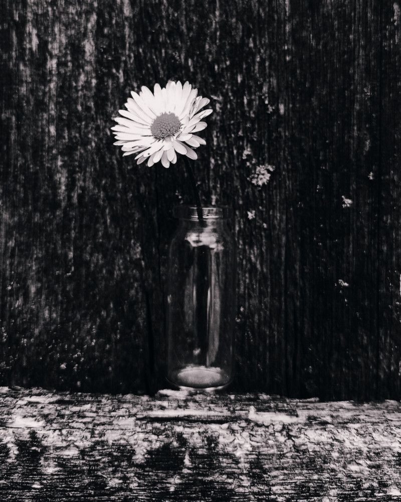 Photograph by Halina Mitsevich