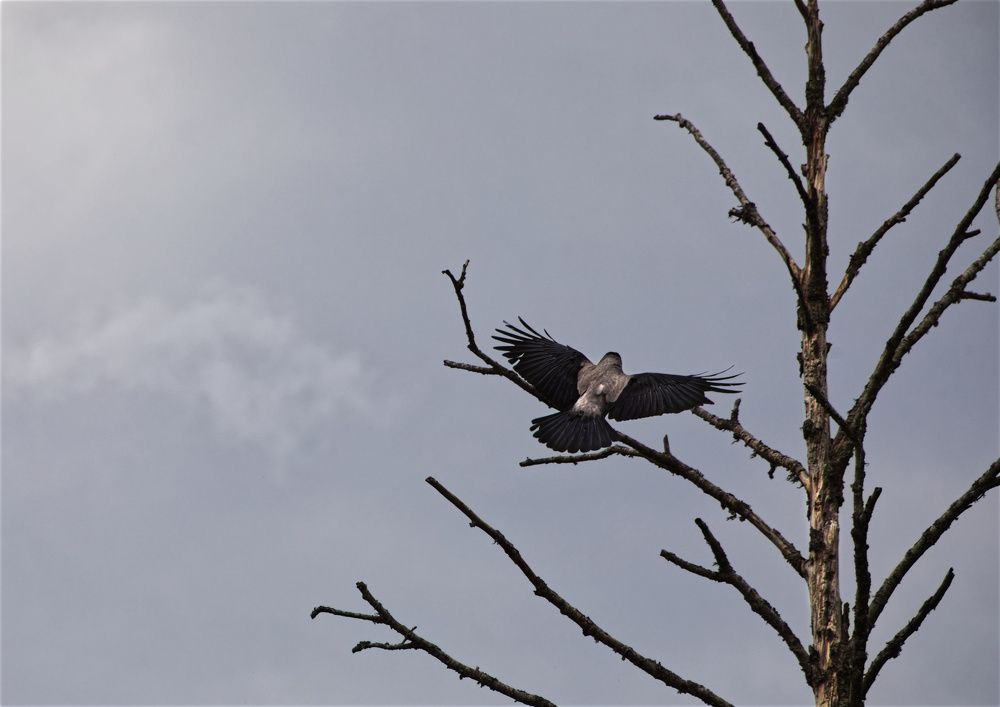 Фотография автора Yuliya Hishova