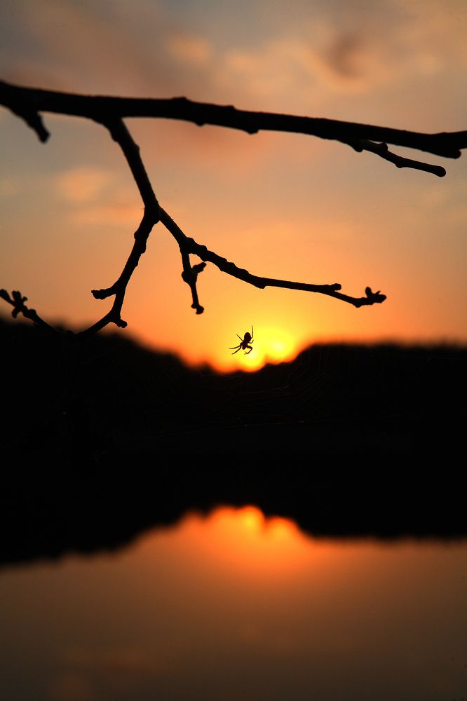 Photograph by Alik Khasanov