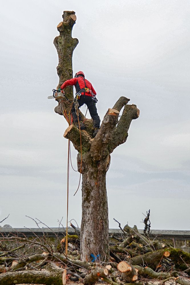 Photograph by Валерий