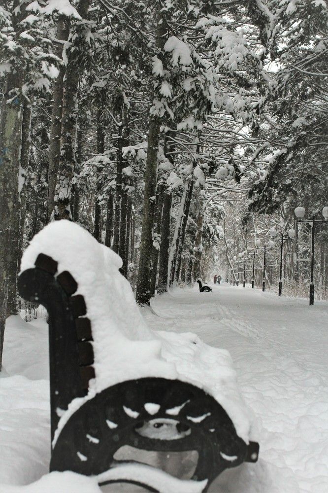 Photograph by Переверзева Татьяна