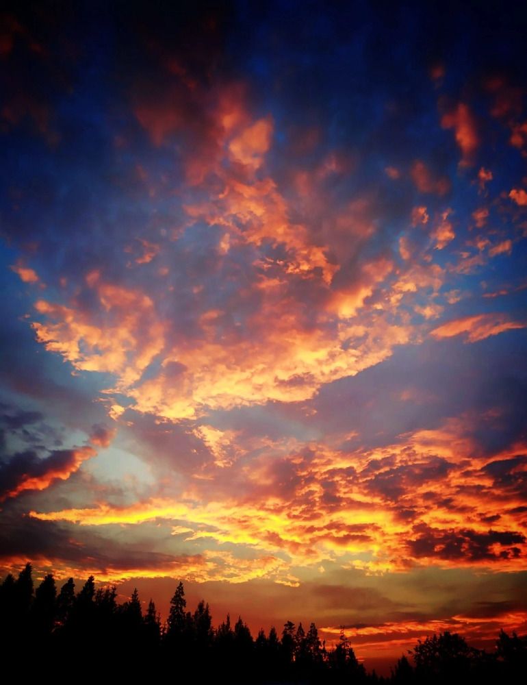 Photograph by Andrey Purtov