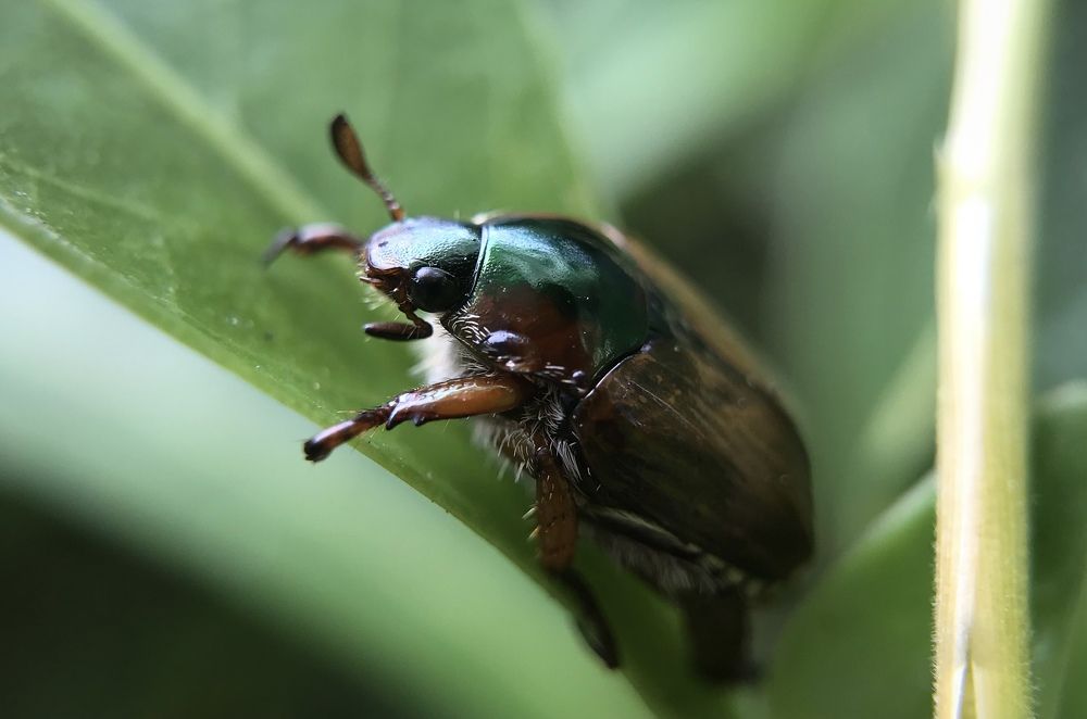 Photograph by Sandali Malalasekera