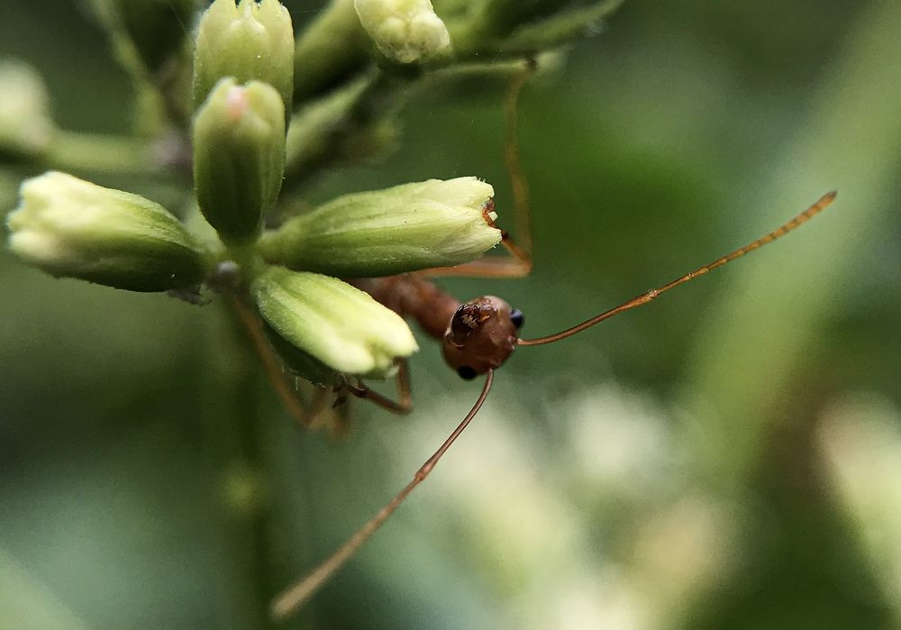 Photograph by Sandali Malalasekera