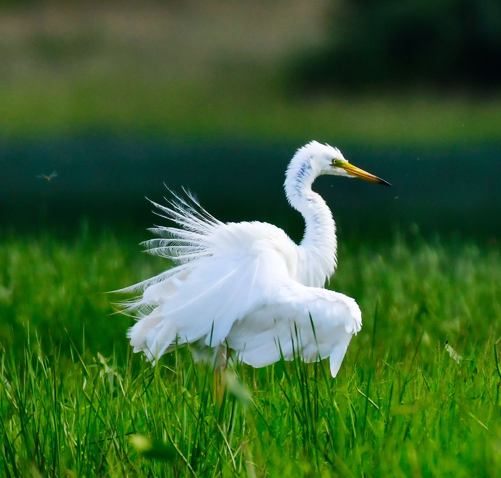 Photograph by Елена