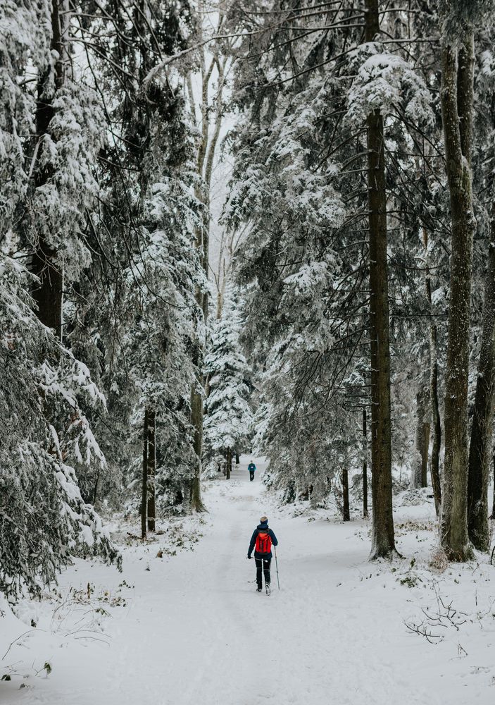 Photograph by Ernest Mazarekić