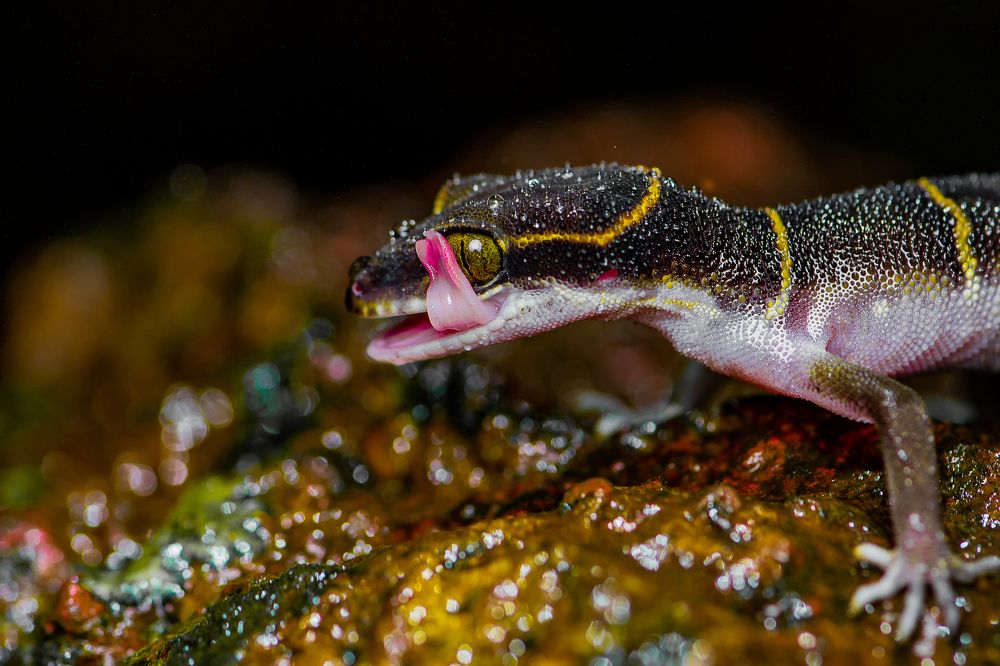 Фотография автора sahaj kasliwal