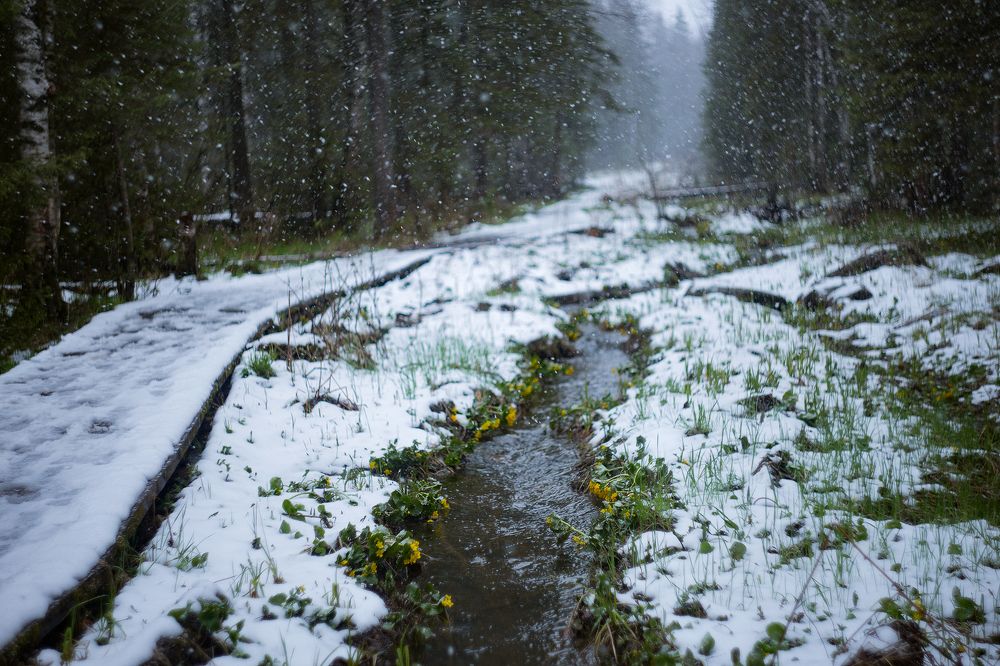 Photograph by Ольга Кожемякина