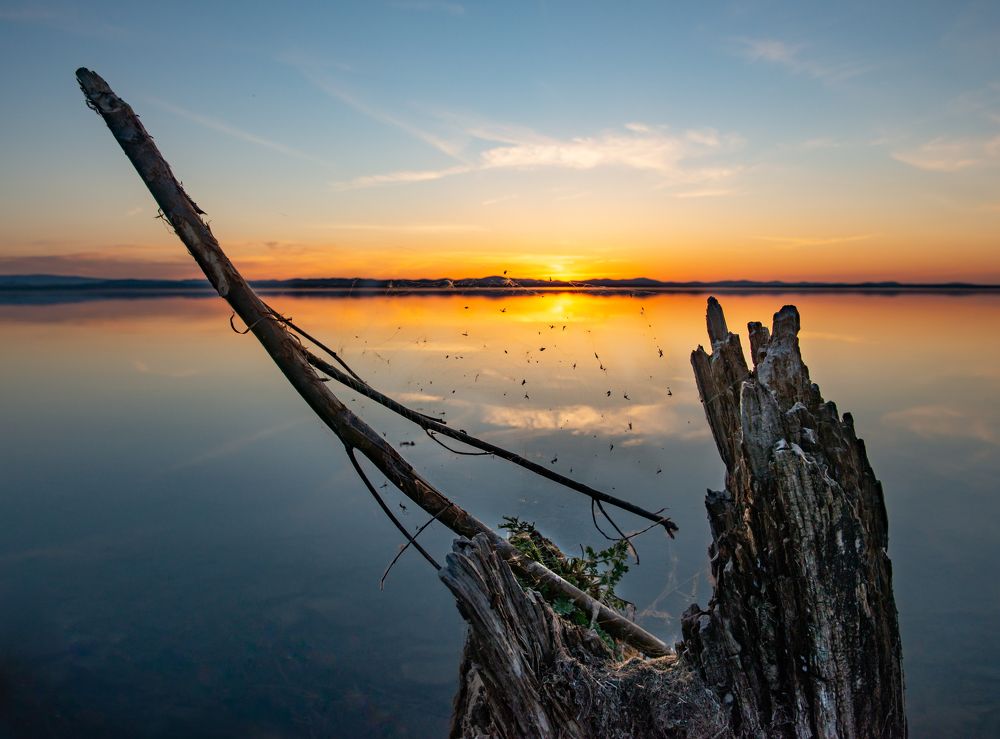 Photograph by Иван Зиновьев