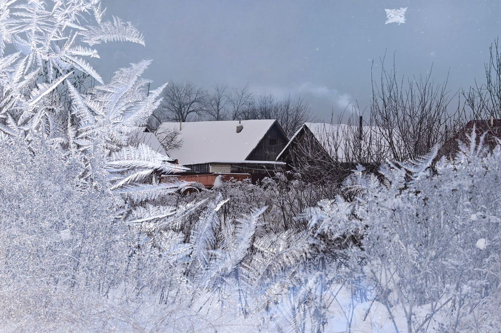 Photograph by Гусева Юлия