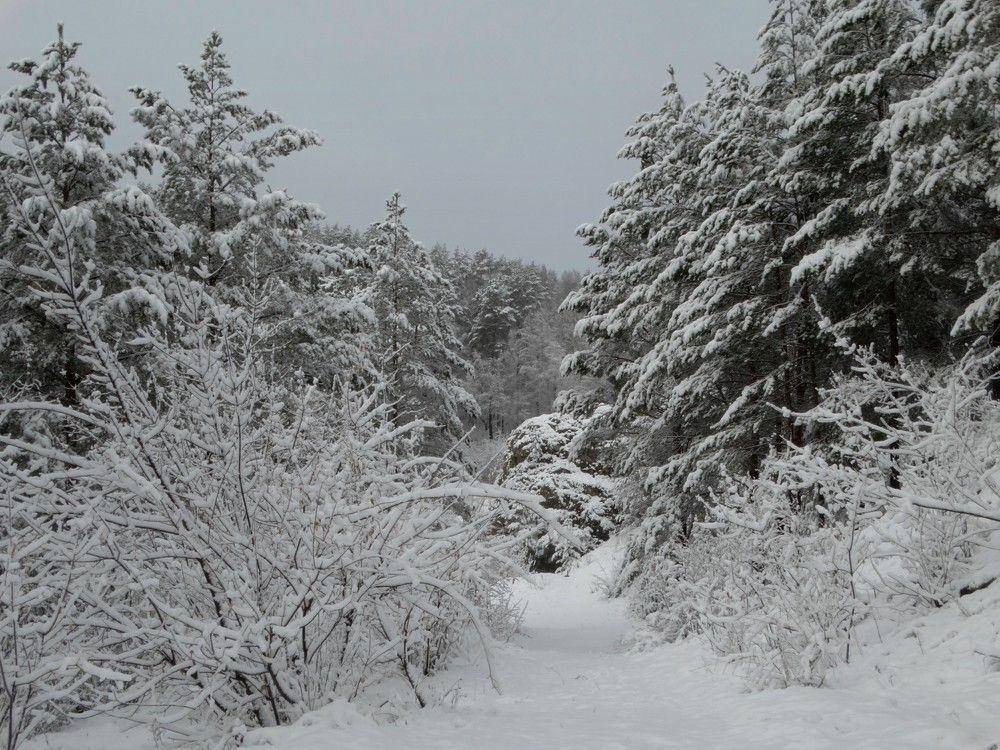 Photograph by Александр Подгорный