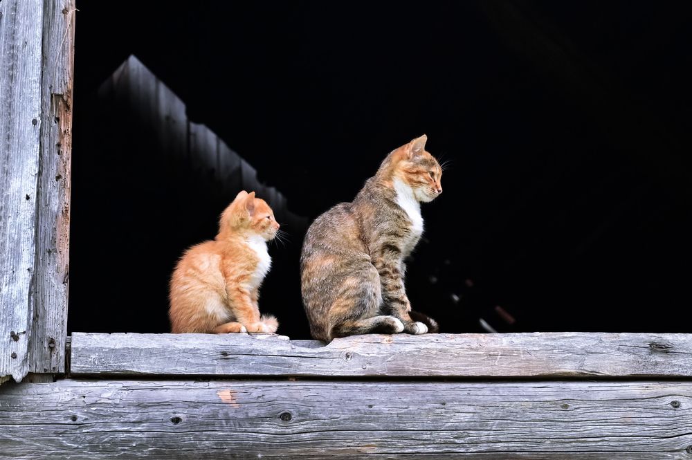 Photograph by Гусева Юлия